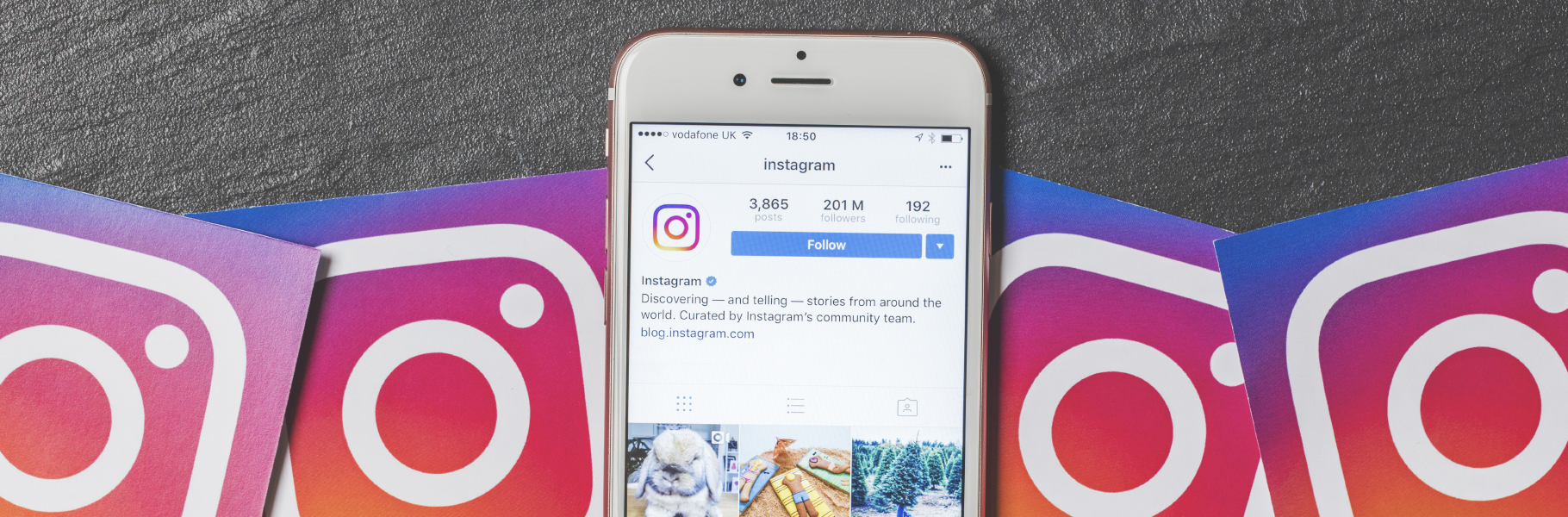 La cuentas que debes seguir en Instagram
