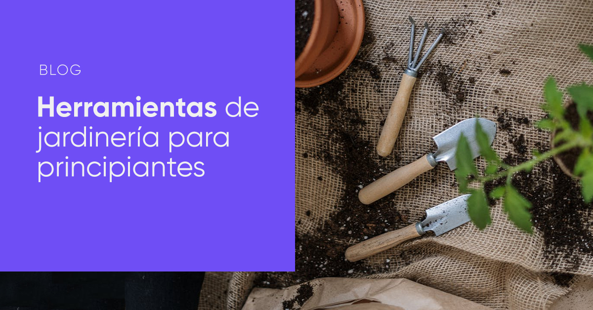 Las mejores herramientas de jardinería para principiantes