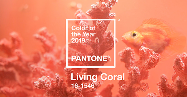 Conoce el pantone de moda del 2019
