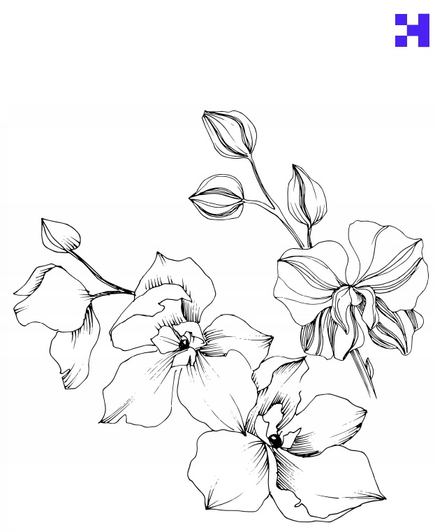 🎨 GRATIS Dibujos para pintar con acuarelas [2021] | Crehana