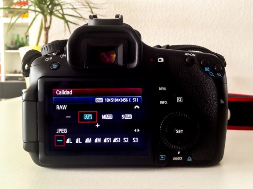 📷 Conoce qué es Adobe Camera RAW y aprovecha el formato RAW Crehana