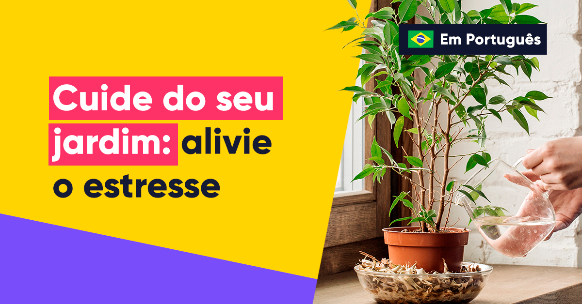 Resgate os vasos em sua casa e supere o estresse