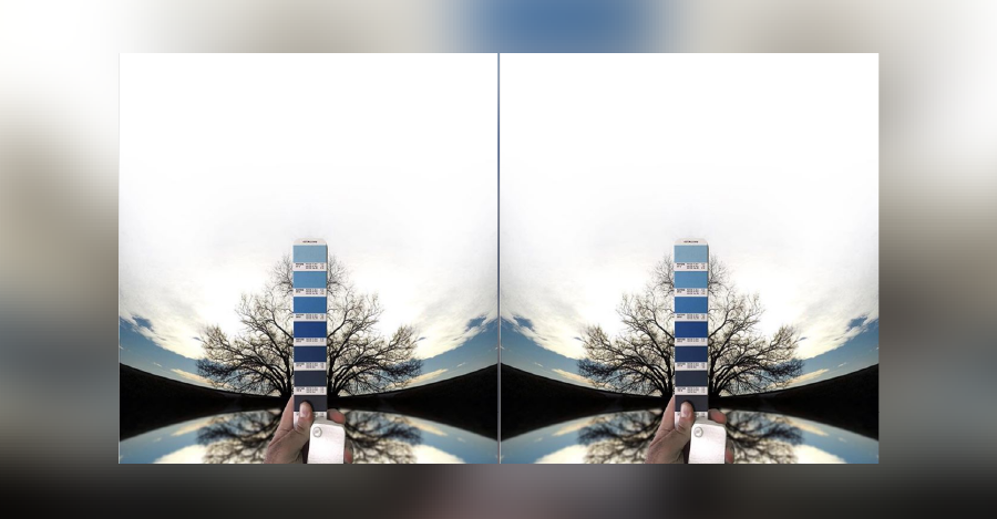 La artista que lleva el pantone a otro nivel